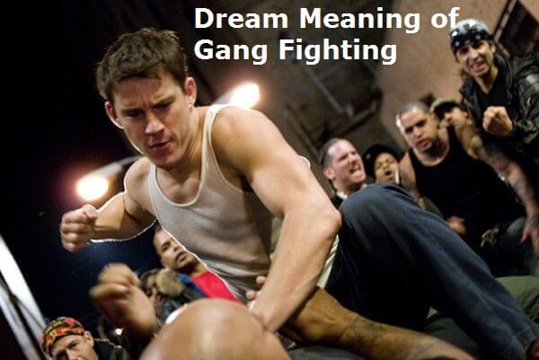 Dream Meaning of Gang Fighting